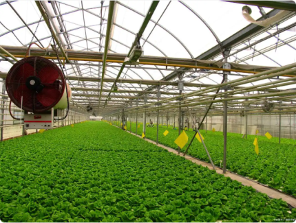 2025现代农业类型及主要项目，抓紧收藏！