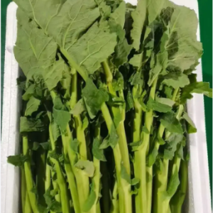 富硒蔬菜采购产地直接收购