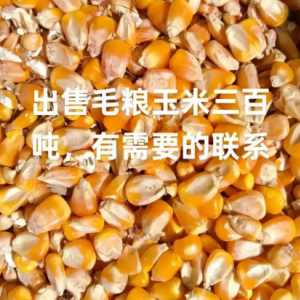 大量收购富硒大米小麦玉米